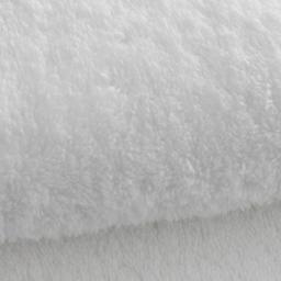 Maple Sugar Renewal 🌙